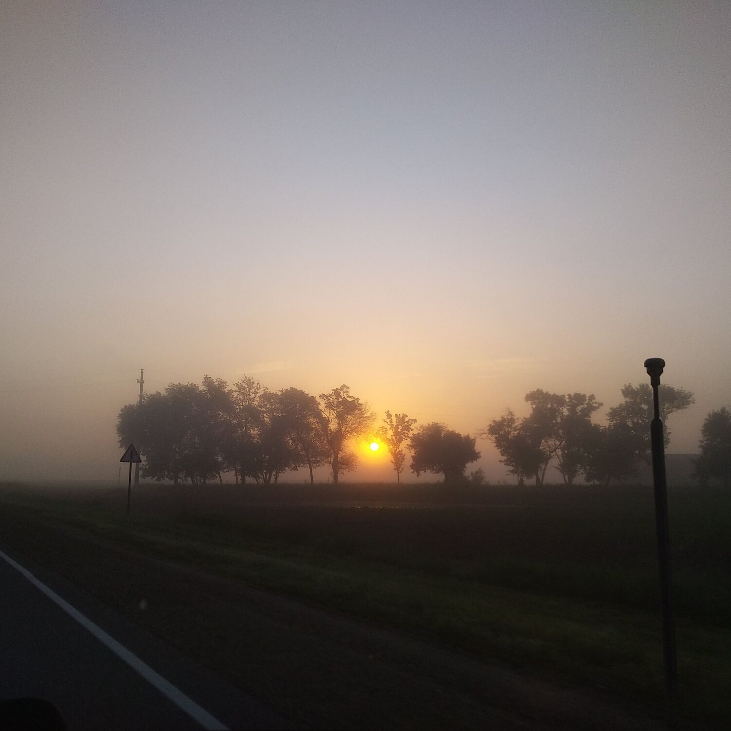Photo #10273901