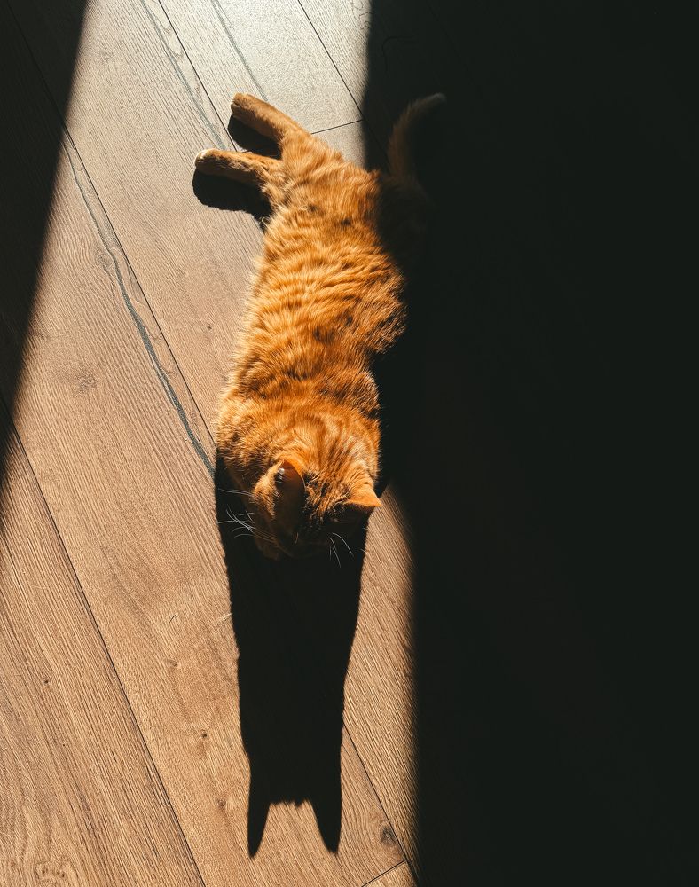 Фотография автора Oksana Yurasova