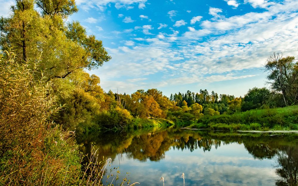 Фотография автора Виктор Парщиков