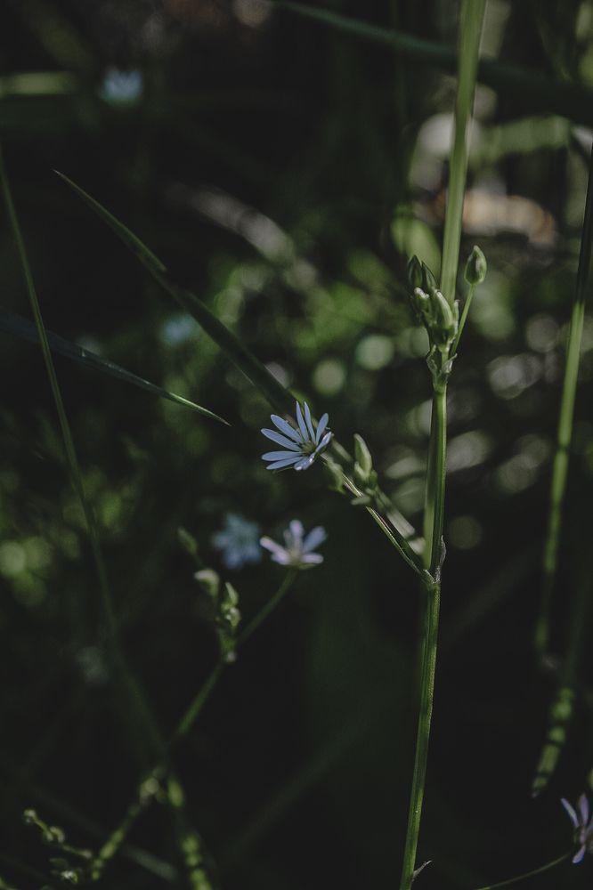 Photograph by Диана Козел