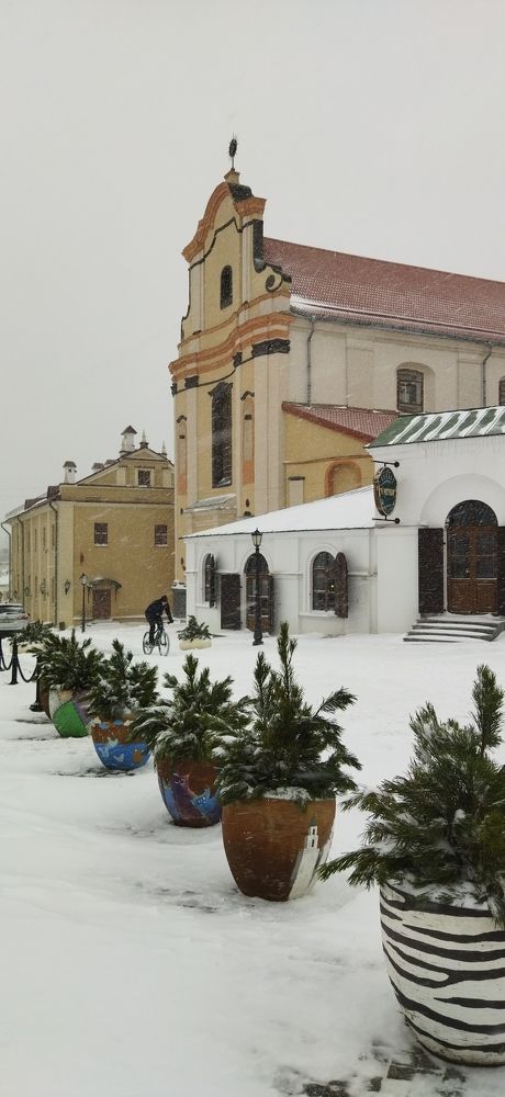 Первый снег в Минске 2023г.