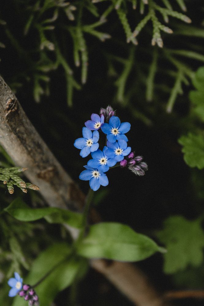 Photograph by Диана Козел