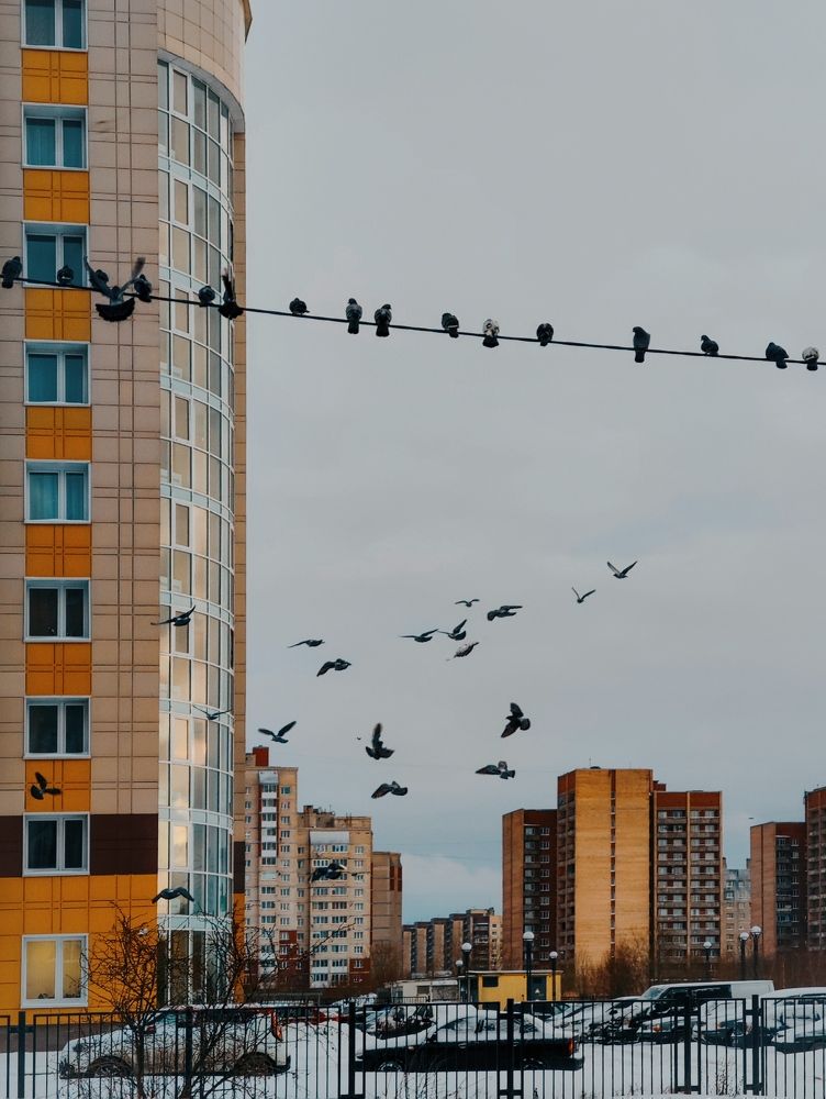 Photograph by Светлана Захарова