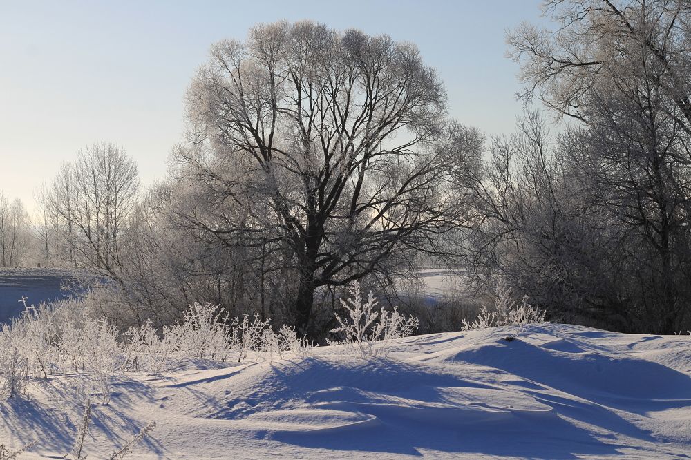 Photograph by Инна Карасева