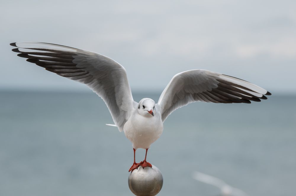Photograph by Анастасия Жучкова