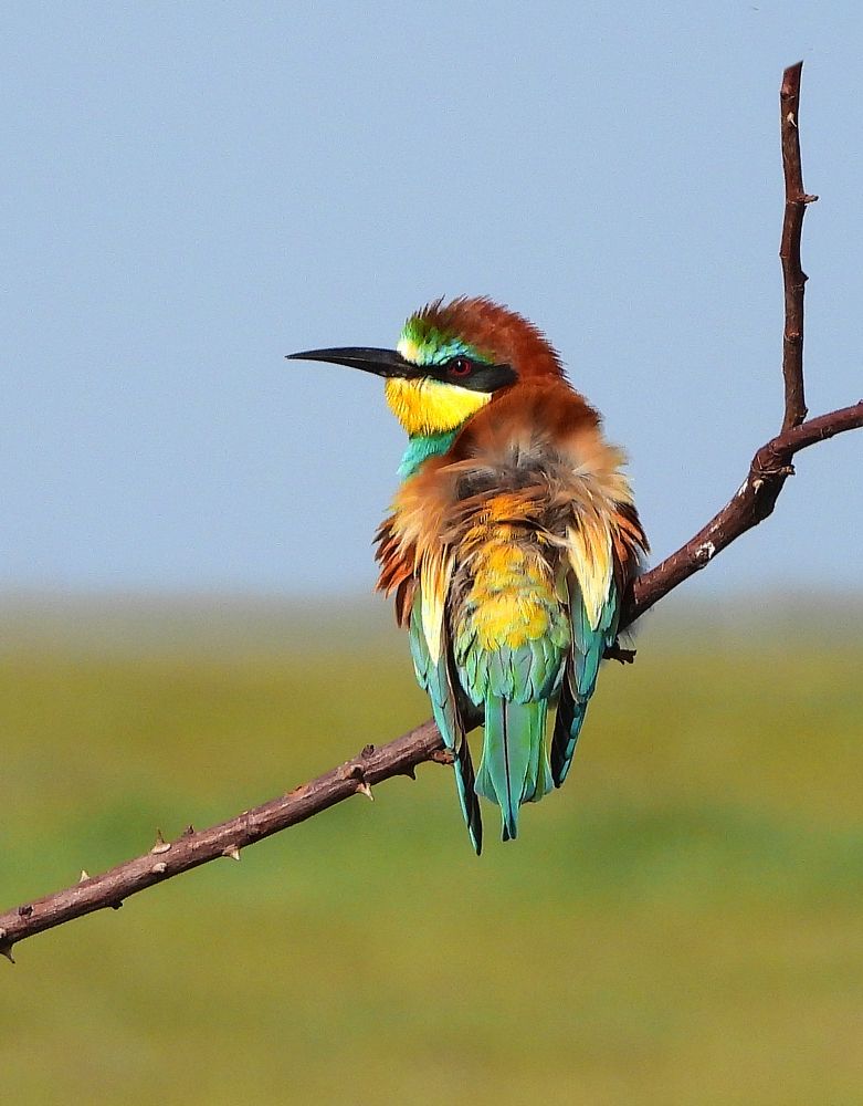 Photograph by Татьяна ТУРСКАЯ