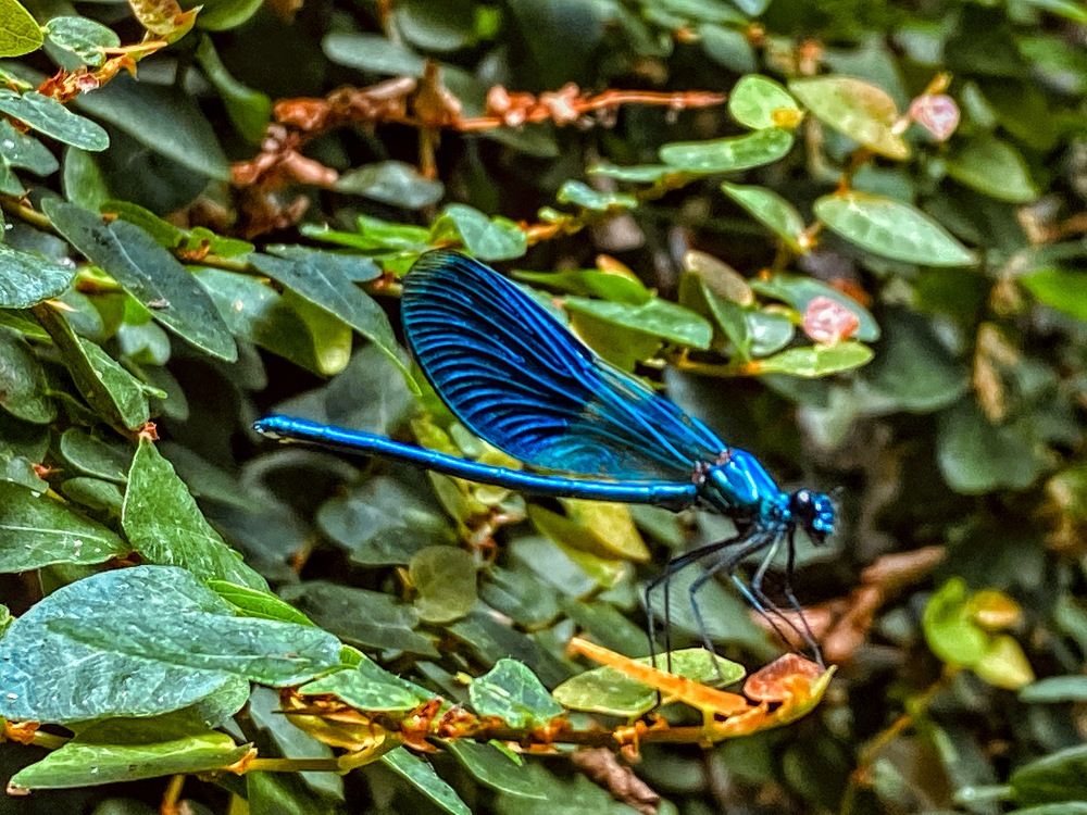 Photograph by Catalina Sirbu