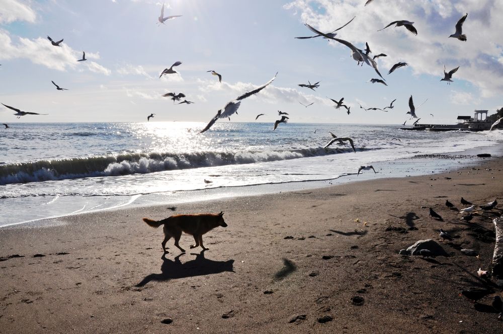 Photograph by Ольга Суляева