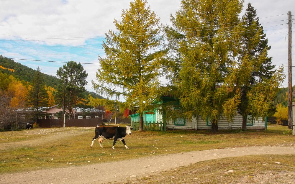 Photograph by Ольга Литвинцева