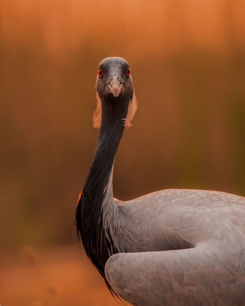 Photograph by Vatsal Parikh