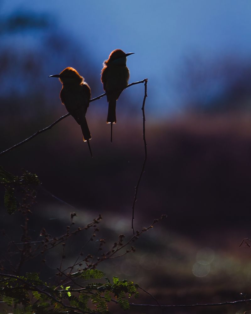 Photograph by Vatsal Parikh