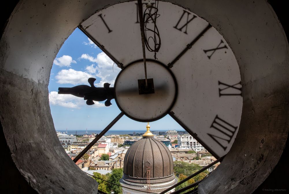 Фотография автора Дмитрий Скворцов