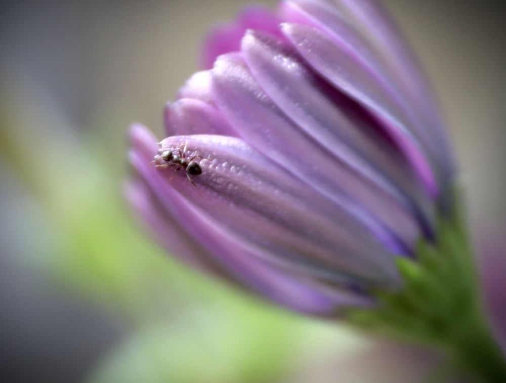 Photograph by Анна Дорофеева