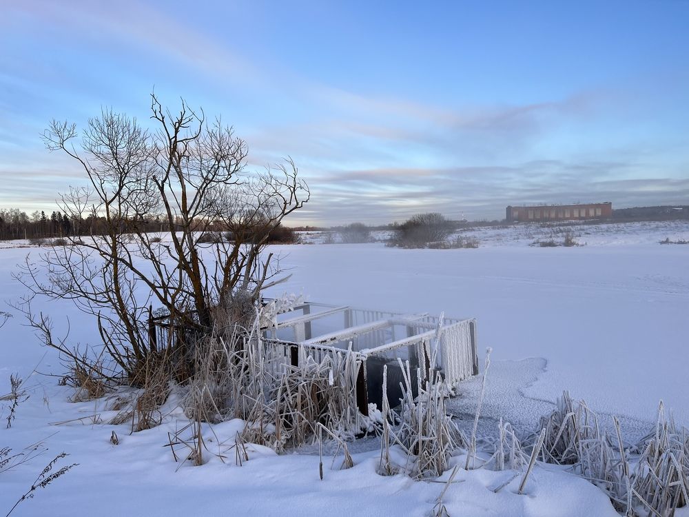 Photograph by Kira Ko