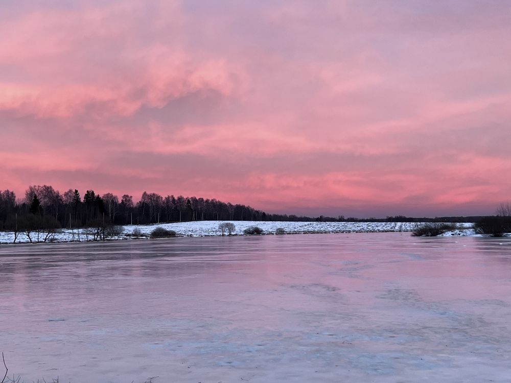 Photograph by Kira Ko