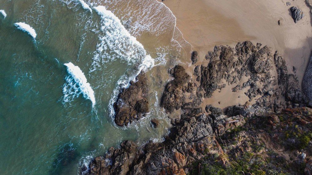 Photograph by Herman