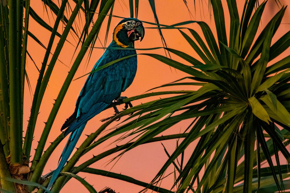Photograph by andres unterladstaetter