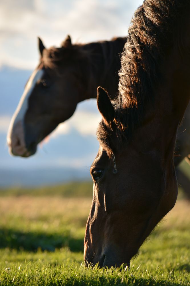 Photograph by Ксения Левикина