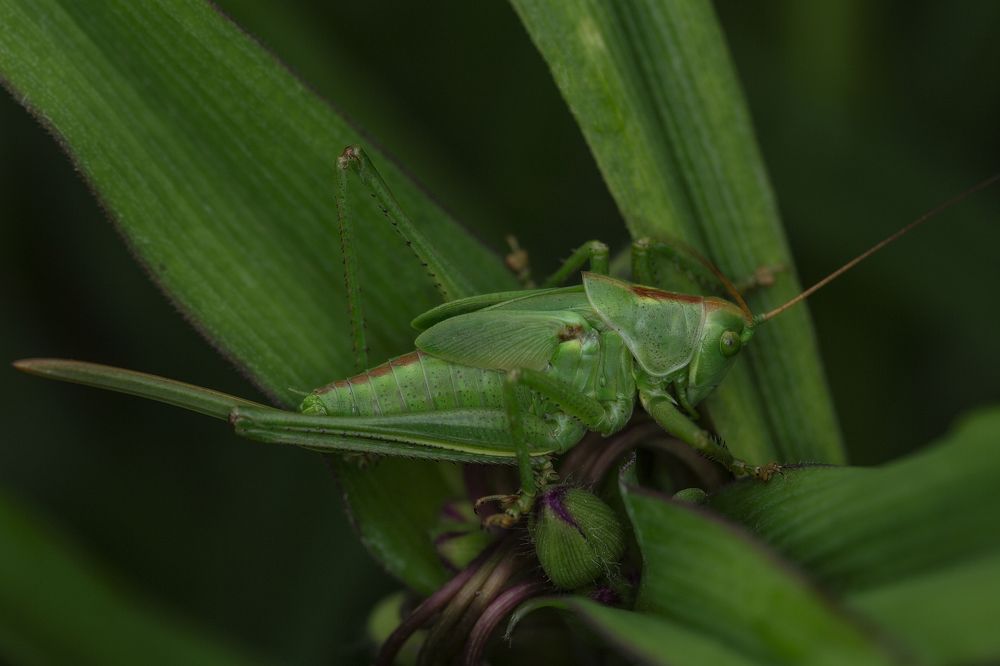 Photograph by Leanid Kulpo