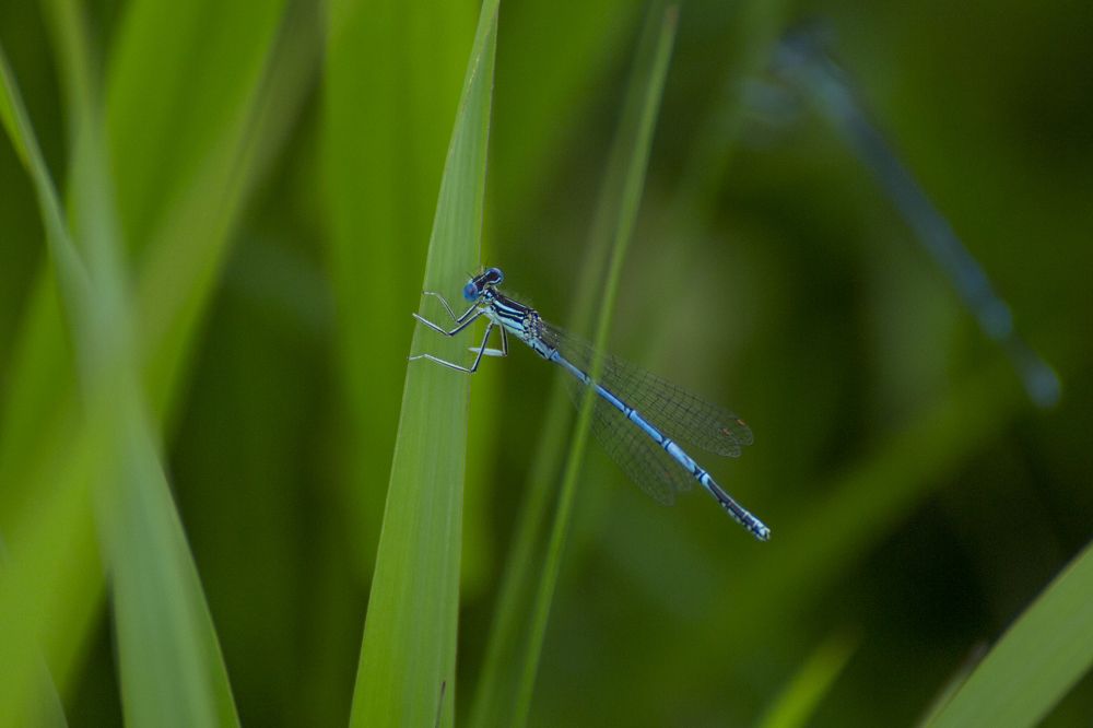 Photograph by Leanid Kulpo