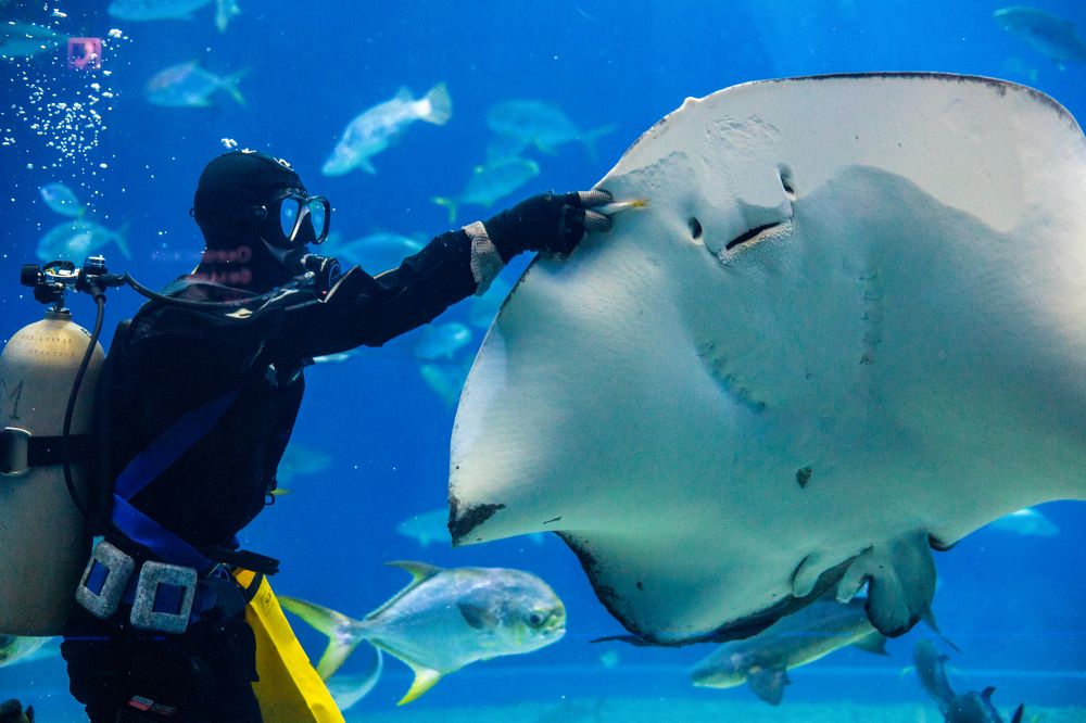 Photograph by Коротков Евгений