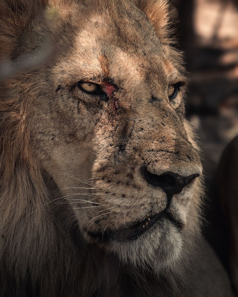 Photograph by Juan Álvarez