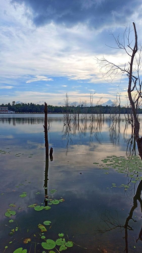 Photograph by Suman Karmakar