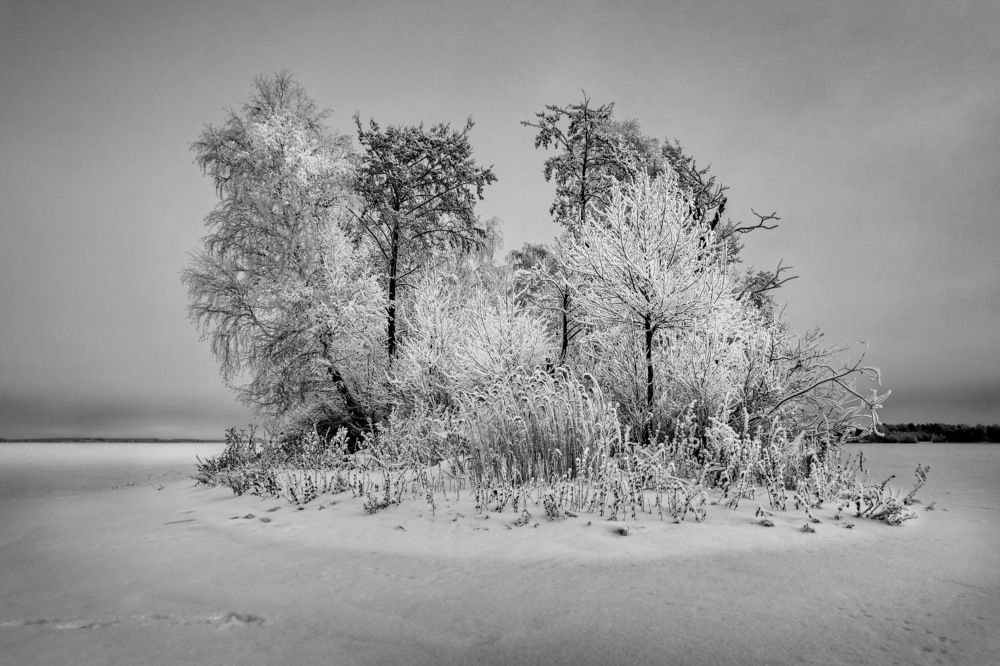 Photograph by Кетова Вера