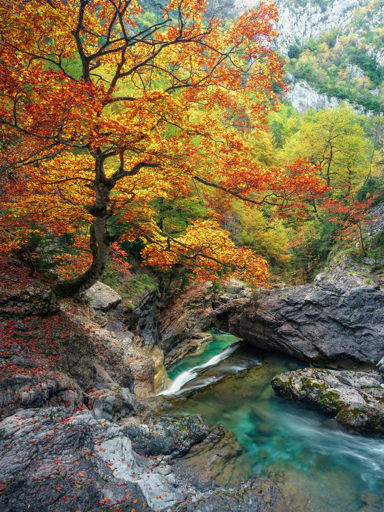 Photograph by Crusat Francisco