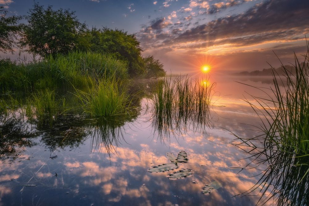 Photograph by Владимир Климов