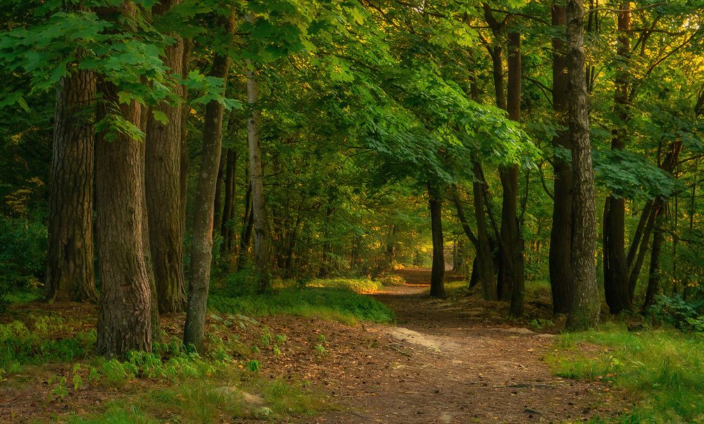 Photograph by Alexandr Zypin