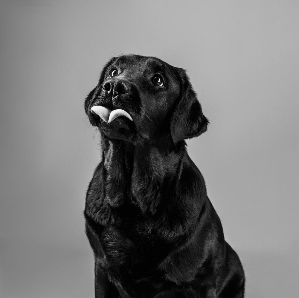 Photograph by Вероника Раевская