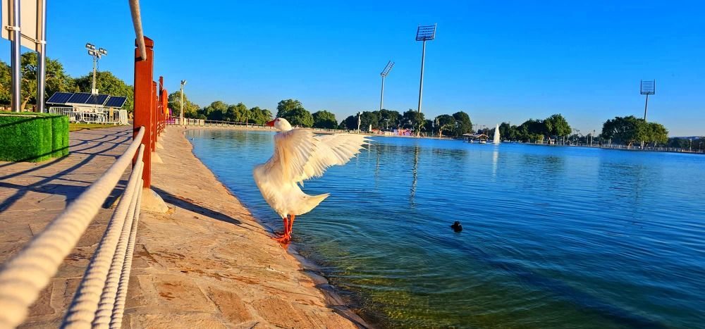 Photograph by Refaaz Mohamed