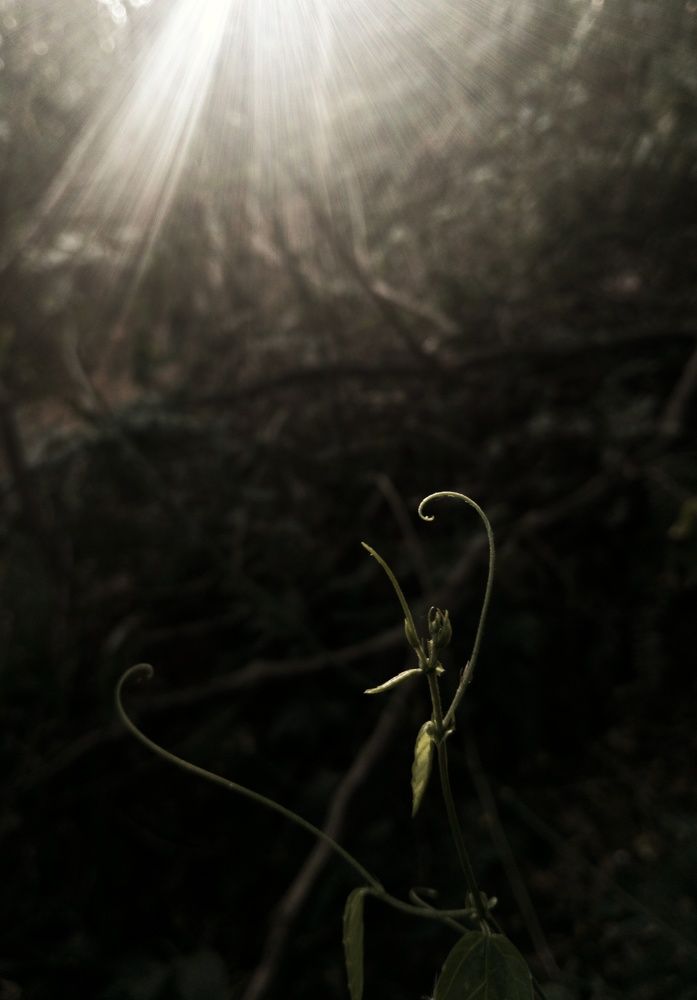 Photo #10274861
