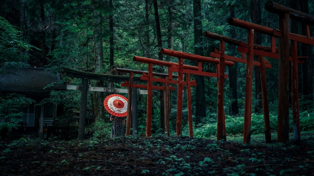 Фотография автора Aliace uesan