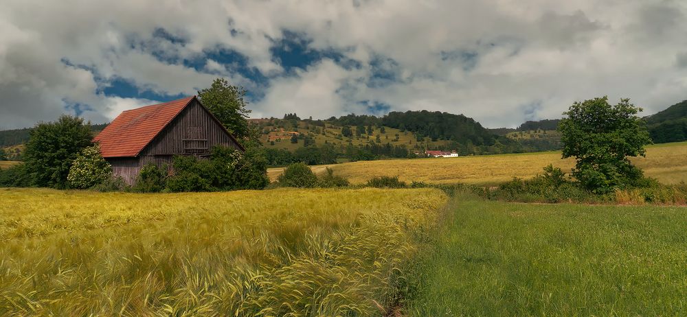 Photograph by Alexandr Zypin