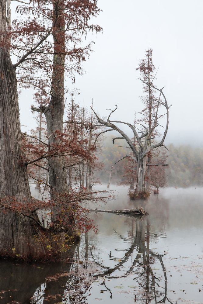 Photograph by Y. Hope Osborn