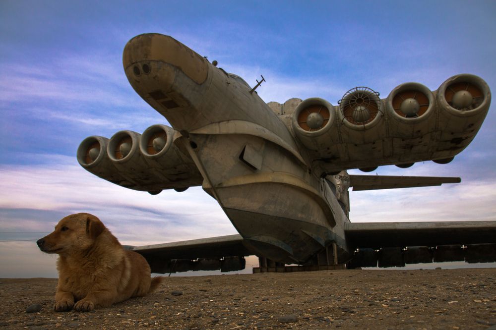 Photograph by Левин Арсений Андреевич