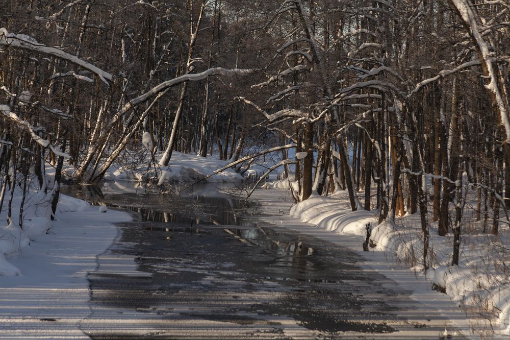 Не замерзающая
