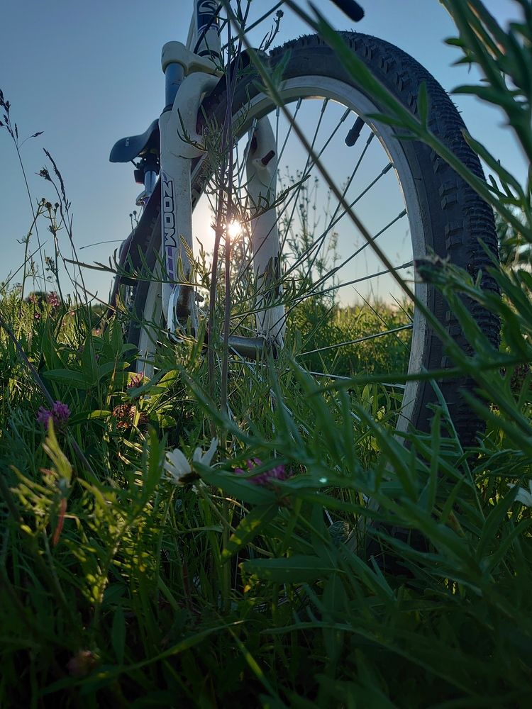 Photograph by Наталия Игоревна