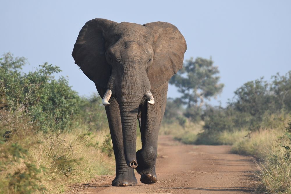 Photograph by Michelle Storm