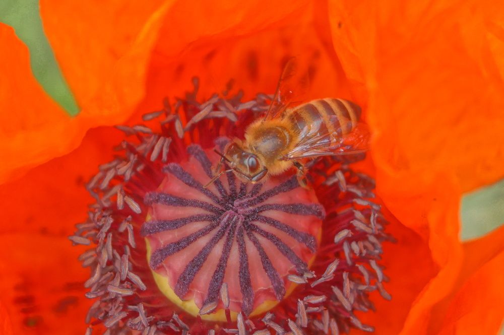 Photograph by Маргарита