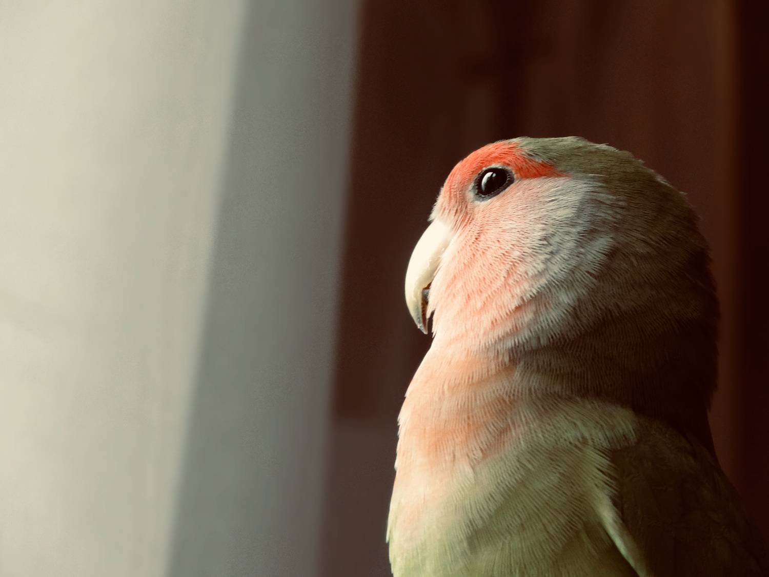 Photo #10275089