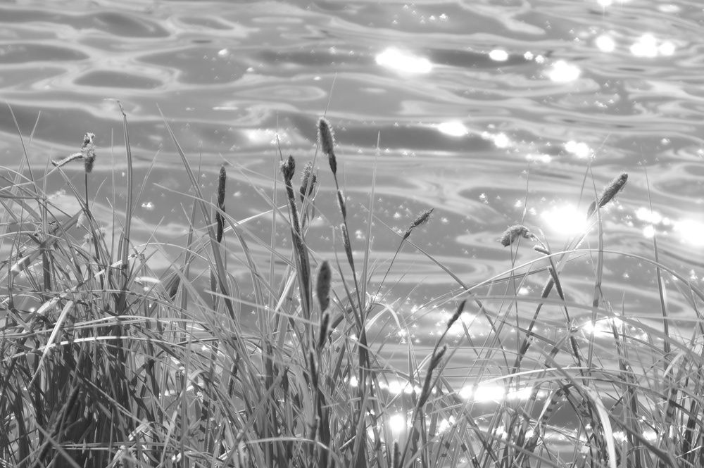 Photograph by Маргарита