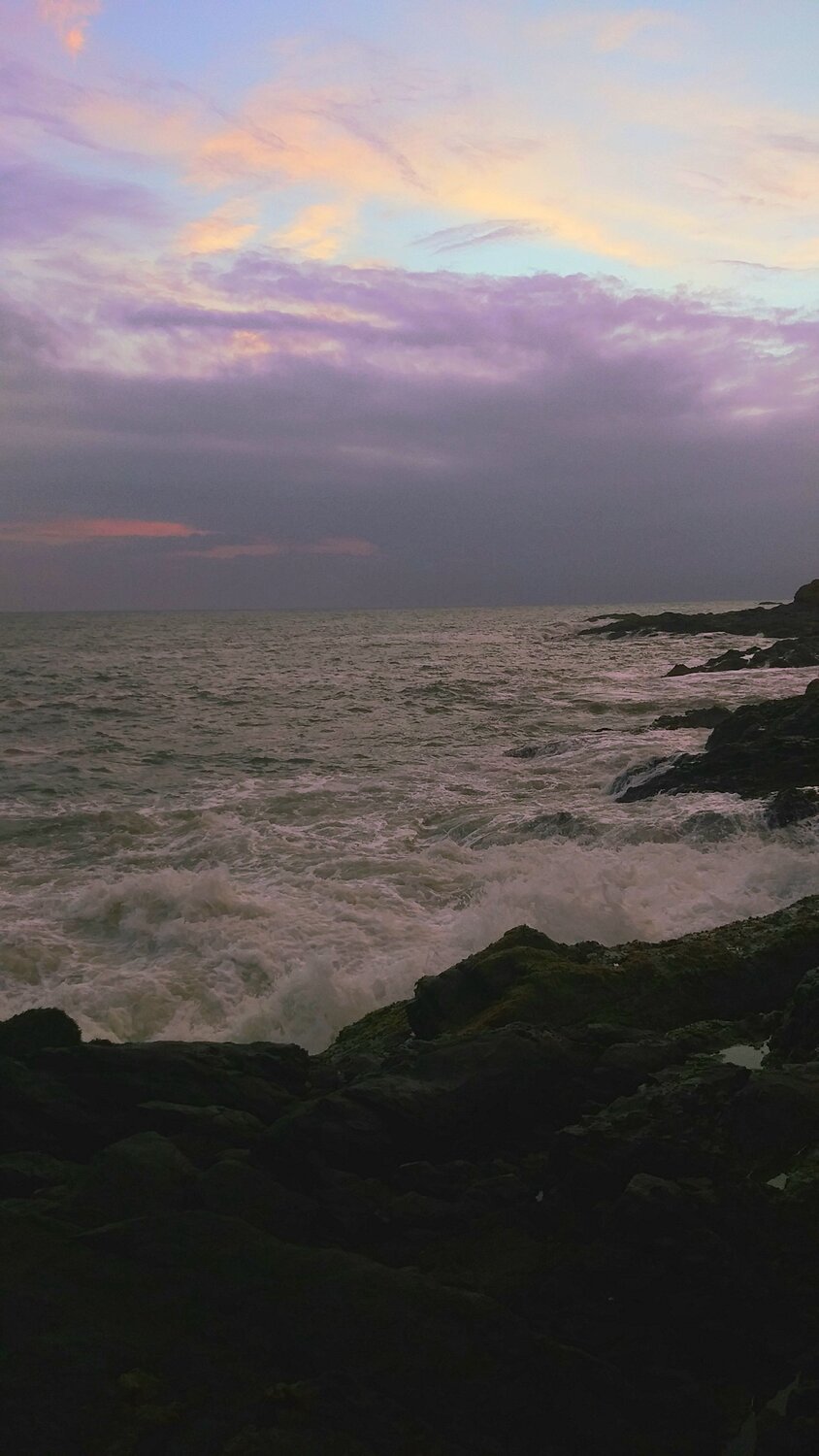Photo #10275114