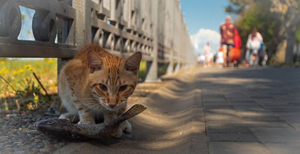 Photograph by Сергей Басов