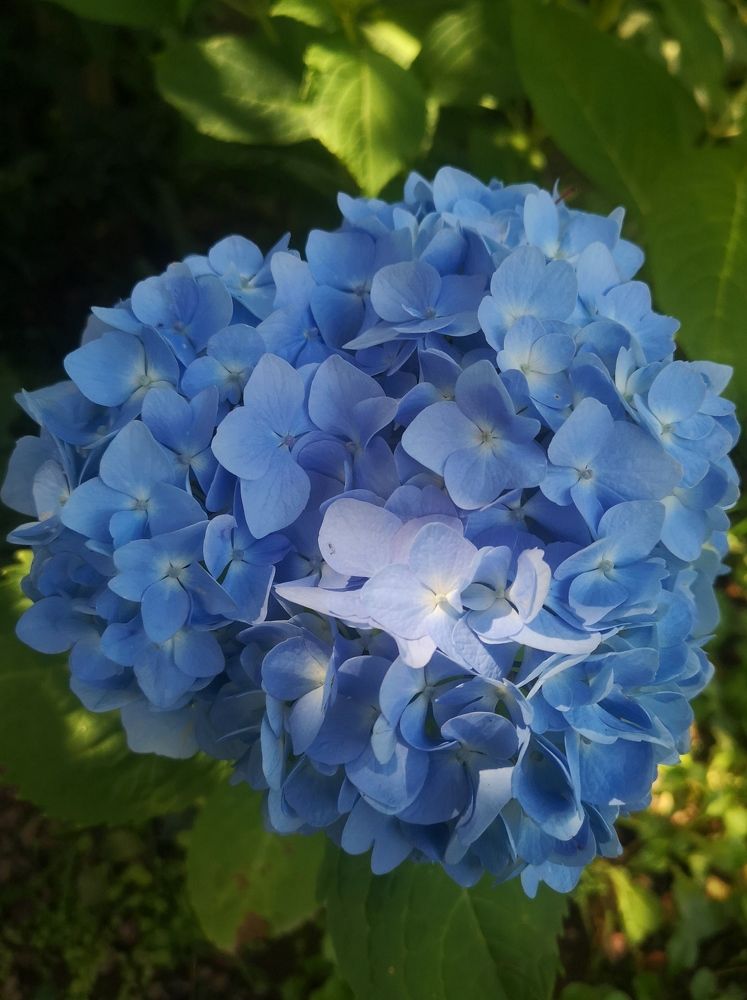 Photograph by Екатерина Борисовна Кузьмина