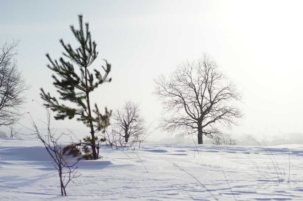 Photograph by Александр Кизим