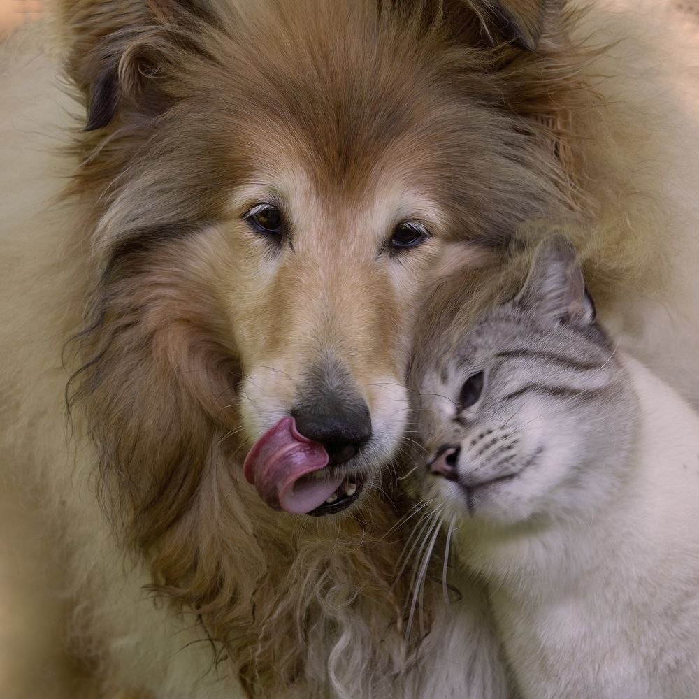 Photograph by LYUDMYLA POKRYSHEN