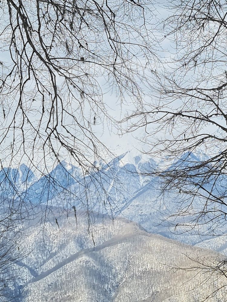 Photograph by Екатерина Золотых